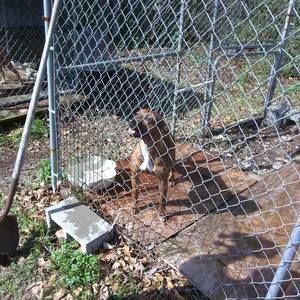 Meet your Posher, Kerry